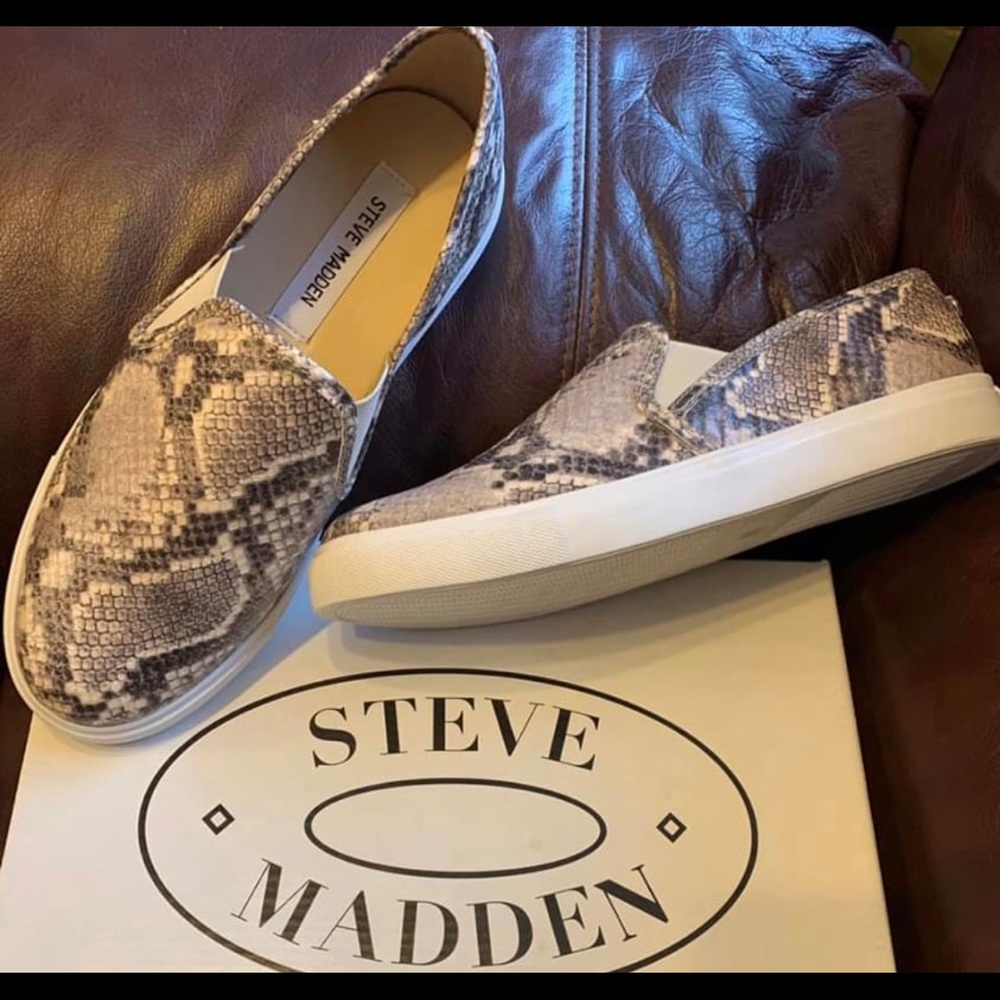Steve Madden Snake skin slip ons